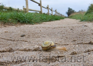 Nombre del archivo=061101_039.jpg
Tamaño del archivo=76Kb
Dimensiones=500x357
Fecha añadida=13 de Noviembre de 11 061101_039.jpg