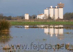 Nombre del archivo=061101_046.jpg
Tamaño del archivo=56Kb
Dimensiones=500x357
Fecha añadida=13 de Noviembre de 11 061101_046.jpg