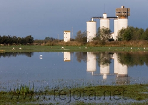 Nombre del archivo=061101_050.jpg
Tamaño del archivo=53Kb
Dimensiones=500x357
Fecha añadida=13 de Noviembre de 11 061101_050.jpg