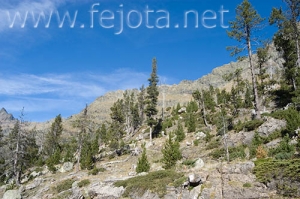 Nombre del archivo=061103_038.jpg
Tamaño del archivo=94Kb
Dimensiones=500x332
Fecha añadida=13 de Noviembre de 11 061103_038.jpg