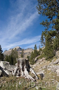 Nombre del archivo=061103_045.jpg
Tamaño del archivo=97Kb
Dimensiones=332x500
Fecha añadida=13 de Noviembre de 11 061103_045.jpg