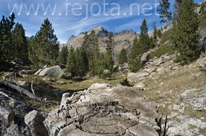 Nombre del archivo=061103_047.jpg
Tamaño del archivo=106Kb
Dimensiones=500x332
Fecha añadida=13 de Noviembre de 11 061103_047.jpg