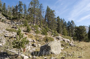 Nombre del archivo=061103_050.jpg
Tamaño del archivo=107Kb
Dimensiones=500x332
Fecha añadida=13 de Noviembre de 11 061103_050.jpg