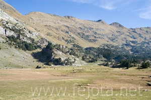 Nombre del archivo=061103_053.jpg
Tamaño del archivo=87Kb
Dimensiones=500x332
Fecha añadida=13 de Noviembre de 11 061103_053.jpg