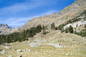 Nombre del archivo=061103_054.jpg
Tamaño del archivo=91Kb
Dimensiones=500x332
Fecha añadida=13 de Noviembre de 11 061103_054.jpg