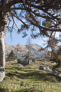 Nombre del archivo=061103_057.jpg
Tamaño del archivo=117Kb
Dimensiones=332x500
Fecha añadida=13 de Noviembre de 11 061103_057.jpg