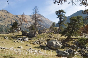 Nombre del archivo=061103_058.jpg
Tamaño del archivo=103Kb
Dimensiones=500x332
Fecha añadida=13 de Noviembre de 11 061103_058.jpg