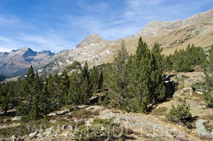 Nombre del archivo=061103_074.jpg
Tamaño del archivo=98Kb
Dimensiones=500x332
Fecha añadida=13 de Noviembre de 11 061103_074.jpg