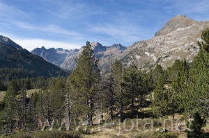 Nombre del archivo=061103_075.jpg
Tamaño del archivo=91Kb
Dimensiones=500x332
Fecha añadida=13 de Noviembre de 11 061103_075.jpg