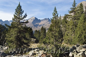 Nombre del archivo=061103_079.jpg
Tamaño del archivo=105Kb
Dimensiones=500x332
Fecha añadida=13 de Noviembre de 11 061103_079.jpg