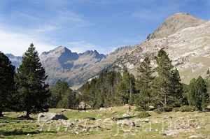 Nombre del archivo=061103_081.jpg
Tamaño del archivo=90Kb
Dimensiones=500x332
Fecha añadida=13 de Noviembre de 11 061103_081.jpg