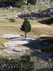 Nombre del archivo=061103_111.jpg
Tamaño del archivo=99Kb
Dimensiones=375x500
Fecha añadida=13 de Noviembre de 11 061103_111.jpg