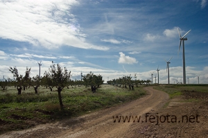 Nombre del archivo=061105_009.jpg
Tamaño del archivo=96Kb
Dimensiones=500x332
Fecha añadida=13 de Noviembre de 11 061105_009.jpg