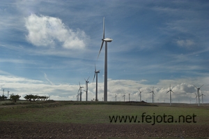 Nombre del archivo=061105_014.jpg
Tamaño del archivo=67Kb
Dimensiones=500x332
Fecha añadida=13 de Noviembre de 11 061105_014.jpg