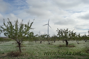 Nombre del archivo=061105_015.jpg
Tamaño del archivo=103Kb
Dimensiones=500x332
Fecha añadida=13 de Noviembre de 11 061105_015.jpg