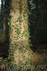 Nombre del archivo=061107_011.jpg
Tamaño del archivo=75Kb
Dimensiones=332x500
Fecha añadida=13 de Noviembre de 11 061107_011.jpg