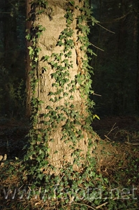 Nombre del archivo=061107_013.jpg
Tamaño del archivo=78Kb
Dimensiones=332x500
Fecha añadida=13 de Noviembre de 11 061107_013.jpg