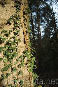 Nombre del archivo=061107_015.jpg
Tamaño del archivo=85Kb
Dimensiones=332x500
Fecha añadida=13 de Noviembre de 11 061107_015.jpg