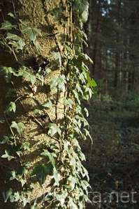 Nombre del archivo=061107_017.jpg
Tamaño del archivo=80Kb
Dimensiones=332x500
Fecha añadida=13 de Noviembre de 11 061107_017.jpg