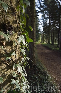 Nombre del archivo=061107_020.jpg
Tamaño del archivo=75Kb
Dimensiones=332x500
Fecha añadida=13 de Noviembre de 11 061107_020.jpg