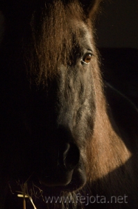 Nombre del archivo=061109_001.jpg
Tamaño del archivo=73Kb
Dimensiones=333x500
Fecha añadida=13 de Noviembre de 11 061109_001.jpg