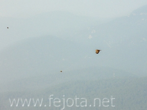 Nombre del archivo=061111_015.jpg
Tamaño del archivo=40Kb
Dimensiones=500x375
Fecha añadida=13 de Noviembre de 11 061111_015.jpg