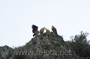 Nombre del archivo=061128_012.jpg
Tamaño del archivo=60Kb
Dimensiones=500x333
Fecha añadida=13 de Noviembre de 11 061128_012.jpg