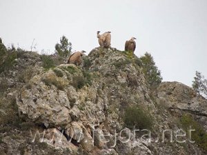 Nombre del archivo=061128_037.jpg
Tamaño del archivo=71Kb
Dimensiones=500x375
Fecha añadida=13 de Noviembre de 11 061128_037.jpg