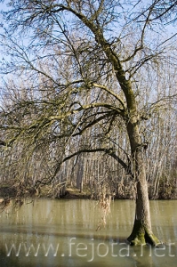 Nombre del archivo=061130_023.jpg
Tamaño del archivo=108Kb
Dimensiones=333x500
Fecha añadida=13 de Noviembre de 11 061130_023.jpg