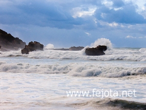 Nombre del archivo=061206_044.jpg
Tamaño del archivo=65Kb
Dimensiones=500x375
Fecha añadida=13 de Noviembre de 11 061206_044.jpg