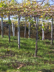 Nombre del archivo=061208_024.jpg
Tamaño del archivo=156Kb
Dimensiones=375x500
Fecha añadida=13 de Noviembre de 11 061208_024.jpg