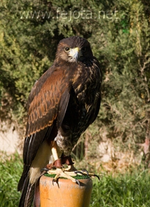 Nombre del archivo=061218_007.jpg
Tamaño del archivo=102Kb
Dimensiones=363x500
Fecha añadida=13 de Noviembre de 11 061218_007.jpg