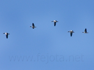 Nombre del archivo=061222_005.jpg
Tamaño del archivo=54Kb
Dimensiones=500x375
Fecha añadida=13 de Noviembre de 11 061222_005.jpg