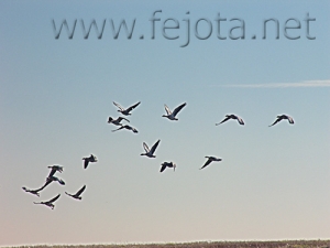 Nombre del archivo=061222_010.jpg
Tamaño del archivo=54Kb
Dimensiones=500x375
Fecha añadida=13 de Noviembre de 11 061222_010.jpg