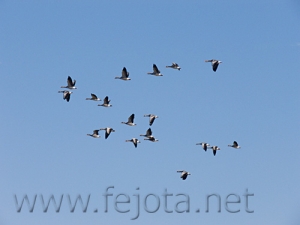 Nombre del archivo=061222_012.jpg
Tamaño del archivo=47Kb
Dimensiones=500x375
Fecha añadida=13 de Noviembre de 11 061222_012.jpg