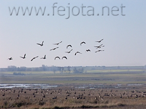 Nombre del archivo=061222_016.jpg
Tamaño del archivo=84Kb
Dimensiones=500x375
Fecha añadida=13 de Noviembre de 11 061222_016.jpg