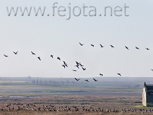 Nombre del archivo=061222_017.jpg
Tamaño del archivo=72Kb
Dimensiones=500x375
Fecha añadida=13 de Noviembre de 11 061222_017.jpg