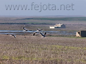 Nombre del archivo=061222_019.jpg
Tamaño del archivo=90Kb
Dimensiones=500x375
Fecha añadida=13 de Noviembre de 11 061222_019.jpg