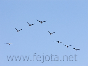 Nombre del archivo=061222_023.jpg
Tamaño del archivo=44Kb
Dimensiones=500x375
Fecha añadida=13 de Noviembre de 11 061222_023.jpg