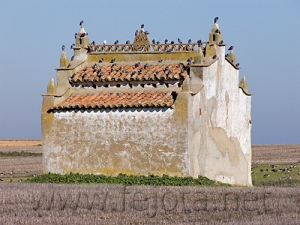 Nombre del archivo=061222_024.jpg
Tamaño del archivo=96Kb
Dimensiones=500x375
Fecha añadida=13 de Noviembre de 11 061222_024.jpg