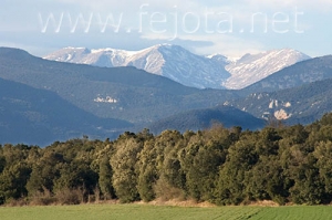 Nombre del archivo=070216_003.jpg
Tamaño del archivo=73Kb
Dimensiones=500x333
Fecha añadida=04 de Noviembre de 11 070216_003.jpg