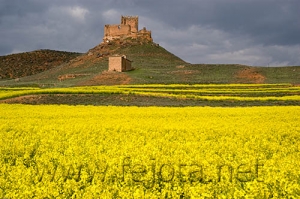 Nombre del archivo=070430_002.jpg
Tamaño del archivo=103Kb
Dimensiones=500x332
Fecha añadida=04 de Noviembre de 11 070430_002.jpg