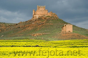 Nombre del archivo=070430_004.jpg
Tamaño del archivo=92Kb
Dimensiones=500x332
Fecha añadida=04 de Noviembre de 11 070430_004.jpg