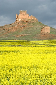 Nombre del archivo=070430_005.jpg
Tamaño del archivo=101Kb
Dimensiones=332x500
Fecha añadida=04 de Noviembre de 11 070430_005.jpg