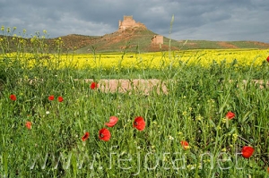 Nombre del archivo=070430_006.jpg
Tamaño del archivo=117Kb
Dimensiones=500x332
Fecha añadida=04 de Noviembre de 11 070430_006.jpg