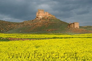 Nombre del archivo=070430_007.jpg
Tamaño del archivo=95Kb
Dimensiones=500x332
Fecha añadida=04 de Noviembre de 11 070430_007.jpg