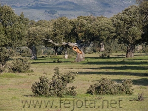 Nombre del archivo=070505_031.jpg
Tamaño del archivo=106Kb
Dimensiones=500x375
Fecha añadida=04 de Noviembre de 11 070505_031.jpg