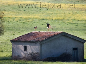 Nombre del archivo=070505_035.jpg
Tamaño del archivo=86Kb
Dimensiones=500x375
Fecha añadida=04 de Noviembre de 11 070505_035.jpg