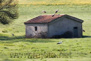 Nombre del archivo=070505_037.jpg
Tamaño del archivo=91Kb
Dimensiones=500x334
Fecha añadida=04 de Noviembre de 11 070505_037.jpg