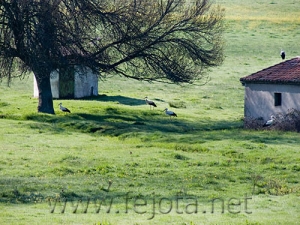 Nombre del archivo=070505_038.jpg
Tamaño del archivo=110Kb
Dimensiones=500x375
Fecha añadida=04 de Noviembre de 11 070505_038.jpg